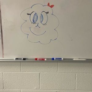 Meet your Posher, Veronica